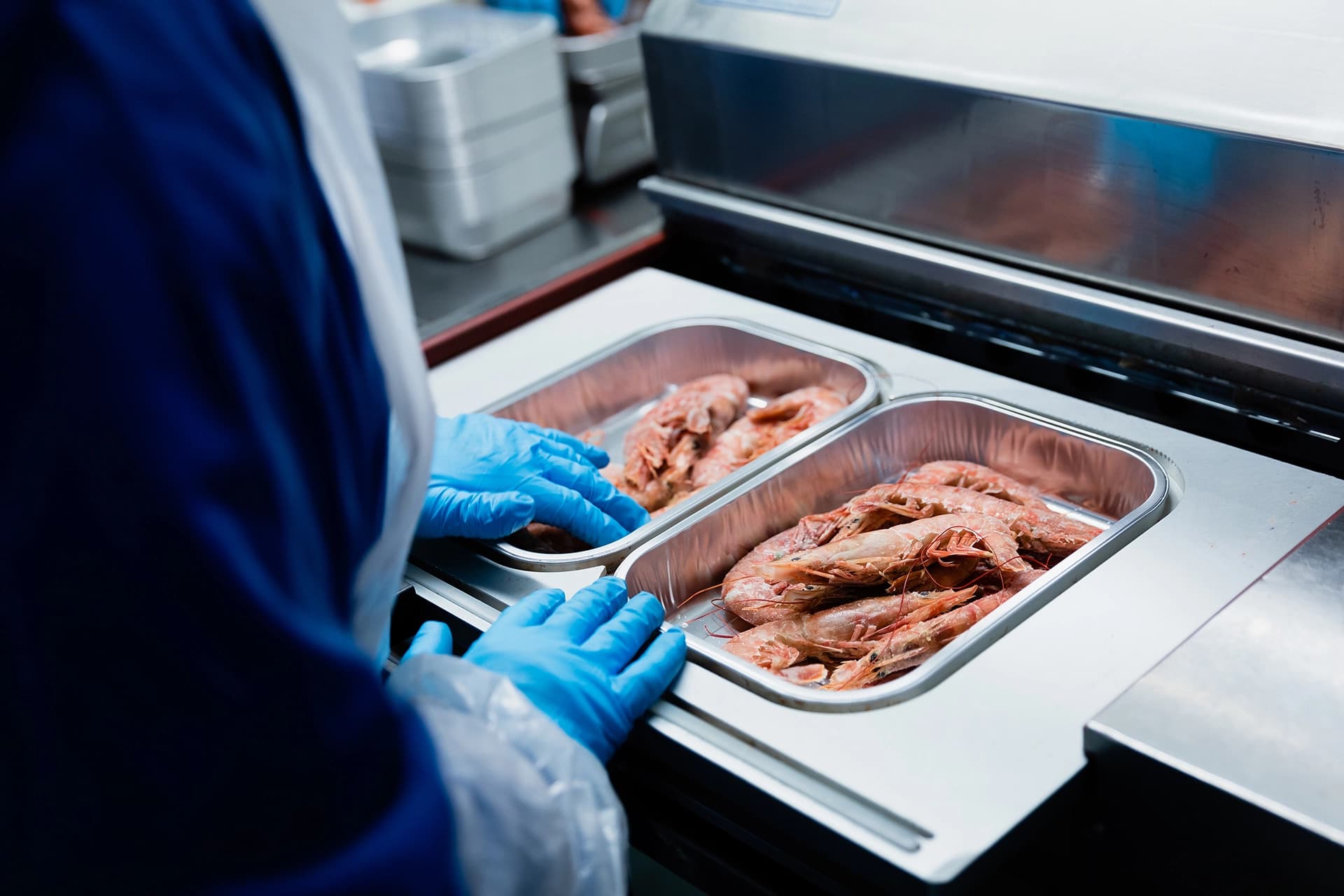 Argentinian Red Shrimp packed into trays for retail